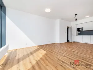 Pronájem bytu 2+kk, Plzeň - Jižní Předměstí, Železná, 66 m2