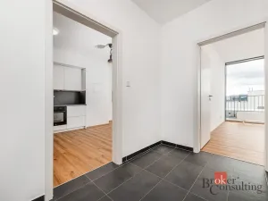 Pronájem bytu 2+kk, Plzeň - Jižní Předměstí, Železná, 66 m2