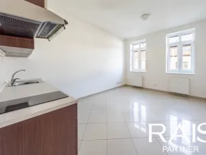 Prodej bytu 1+kk, Brno - Husovice, Svitavská, 35 m2