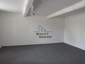 Prodej rodinného domu, Starý Petřín, 130 m2