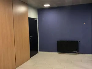Pronájem bytu 2+kk, Praha - Vršovice, Altajská, 55 m2
