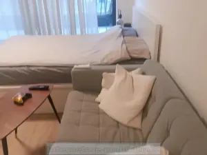 Pronájem bytu 1+kk, Praha - Vinoř, 32 m2