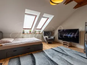 Prodej rodinného domu, Modřice, Brněnská, 371 m2