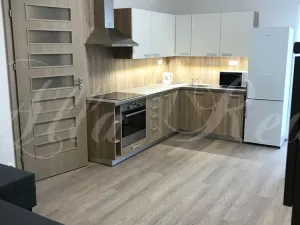 Pronájem bytu 2+kk, Brno - Zábrdovice, Francouzská, 40 m2