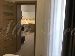 Pronájem bytu 2+kk, Brno - Zábrdovice, Francouzská, 40 m2