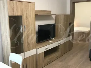 Pronájem bytu 2+kk, Brno - Zábrdovice, Francouzská, 40 m2