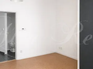 Pronájem bytu 1+1, Brno - Veveří, Štefánikova, 35 m2
