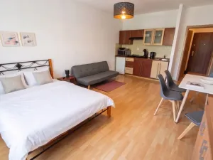 Pronájem bytu 1+kk, Poděbrady, Studentská, 32 m2