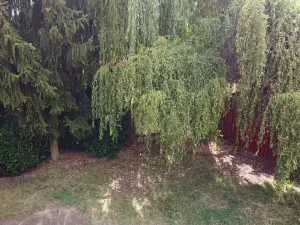 Prodej rodinného domu, Zvole, Přední, 230 m2