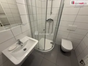 Pronájem bytu 1+kk, Praha - Krč, Budějovická, 25 m2