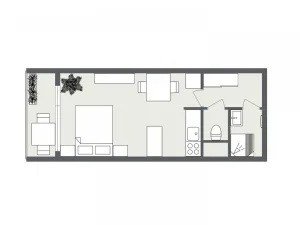 Pronájem bytu 1+kk, Ostrava - Zábřeh, Čujkovova, 28 m2