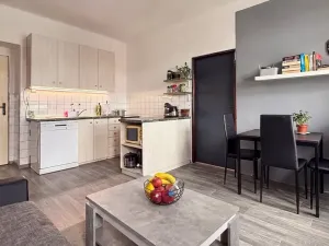 Prodej bytu 2+kk, Brno, Dobrovského, 47 m2