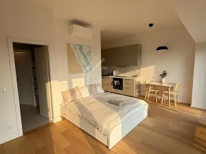 Pronájem bytu 1+kk, Praha - Holešovice, V háji, 36 m2