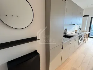Pronájem bytu 1+kk, Praha - Holešovice, V háji, 36 m2