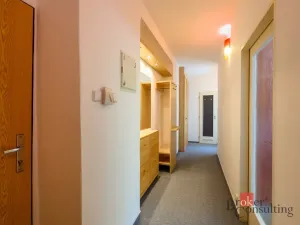 Prodej bytu 2+kk, Plzeň - Lobzy, Živnostenská, 40 m2