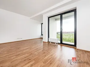 Pronájem bytu 1+kk, Plzeň - Jižní Předměstí, Železná, 34 m2