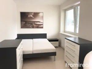 Pronájem bytu 1+kk, Brno, Podveská, 42 m2