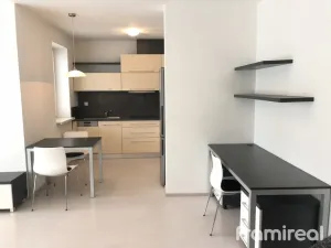 Pronájem bytu 1+kk, Brno, Podveská, 42 m2