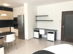 Pronájem bytu 1+kk, Brno, Podveská, 42 m2