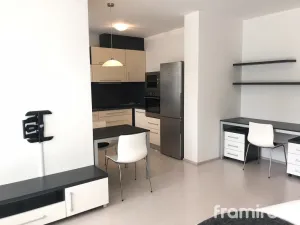 Pronájem bytu 1+kk, Brno, Podveská, 42 m2