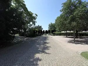 Pronájem bytu 2+kk, Praha - Vinohrady, Vinohradská, 50 m2