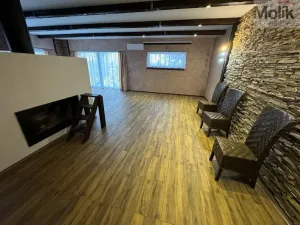 Pronájem rodinného domu, Háj u Duchcova - Domaslavice, Lesní stezka, 160 m2
