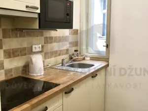 Pronájem bytu 1+kk, Praha - Nové Město, Vodičkova, 31 m2