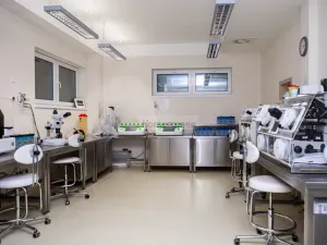 Prodej ordinace, Brno - Královo Pole, Malátova, 4000 m2