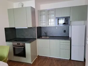 Pronájem bytu 1+kk, Praha - Dolní Měcholupy, Honzíkova, 42 m2