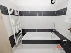 Pronájem bytu 1+kk, Jihlava, Halasova, 43 m2