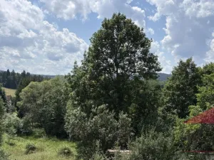 Prodej chalupy, Kašperské Hory - Dolní Dvorce, 265 m2