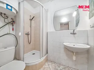 Prodej rodinného domu, Dolní Čermná, 220 m2