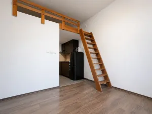 Pronájem bytu 1+kk, Praha - Vysočany, Freyova, 30 m2
