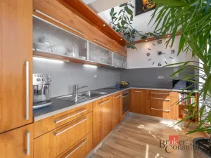 Prodej bytu 5+kk, Plzeň - Severní Předměstí, Otýlie Beníškové, 199 m2