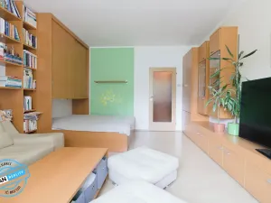 Prodej bytu 1+1, Krnov, Revoluční, 48 m2