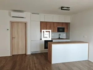 Pronájem bytu 1+kk, Olomouc, Loudova, 36 m2