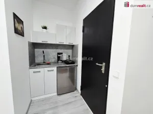 Pronájem bytu 1+kk, Lužná, Nová, 20 m2