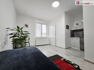 Pronájem bytu 1+kk, Lužná, Nová, 20 m2