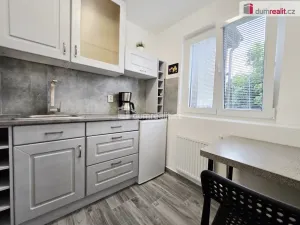 Pronájem bytu 1+kk, Lužná, Nová, 20 m2