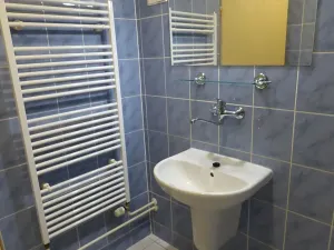 Pronájem bytu 1+kk, Brno, Heršpická, 23 m2
