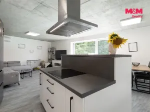 Pronájem bytu 3+kk, Ludgeřovice, Finské domky, 90 m2