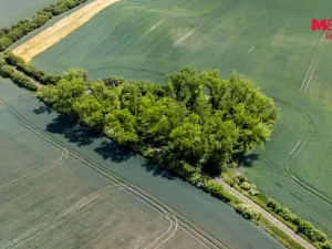 Prodej lesa, Libochovice - Dubany, 8199 m2