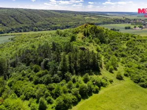 Prodej lesa, Libochovice - Dubany, 8199 m2