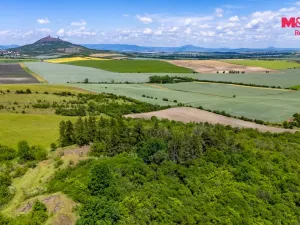 Prodej lesa, Libochovice - Dubany, 8199 m2