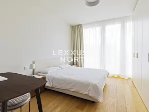 Pronájem bytu 2+kk, Praha - Smíchov, Holečkova, 60 m2