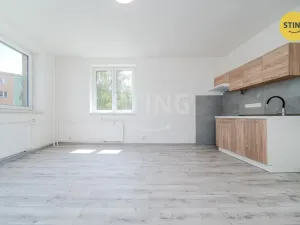 Prodej bytu 2+kk, Ostrava - Hrabůvka, Plzeňská, 48 m2