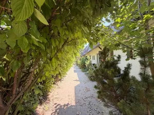 Pronájem bytu 3+kk, Kovalovice, 67 m2