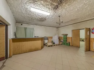 Prodej zemědělského objektu, Velké Pavlovice, Trávníky, 400 m2