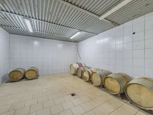Prodej výrobních prostor, Velké Pavlovice, Trávníky, 400 m2