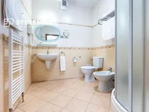 Pronájem bytu 3+kk, Teplice, U Nových lázní, 100 m2